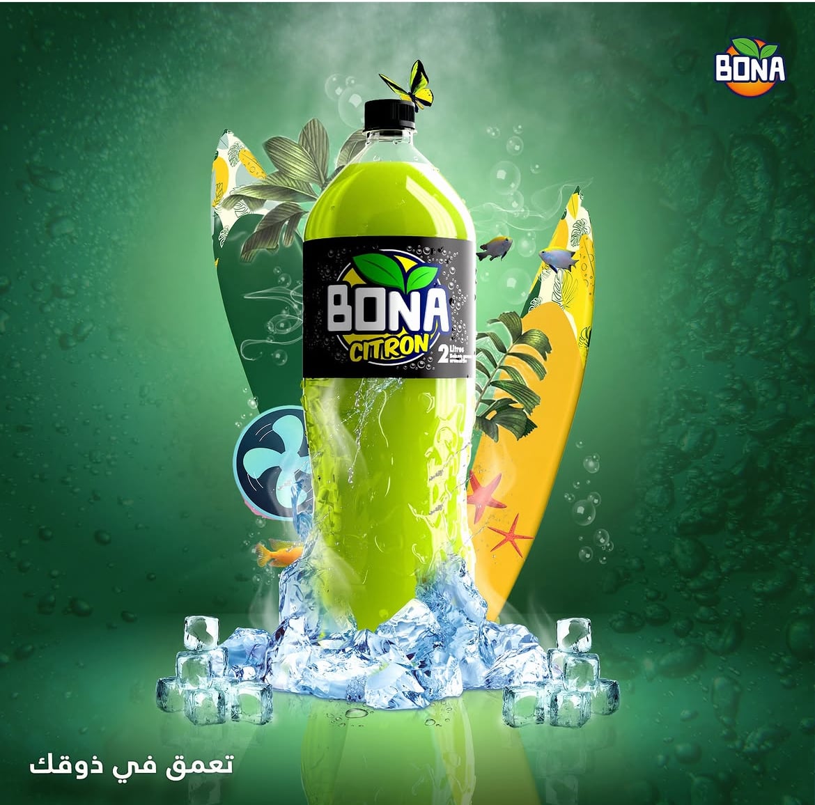 BONA 33 CL